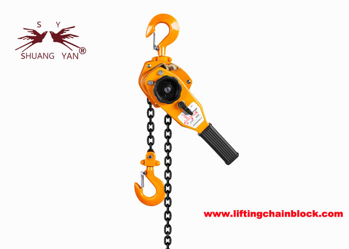 3 Ton Single-Chain-Fall Lever Chain Hoist con i ganci della parte girevole del freno di sicurezza e da 360 gradi